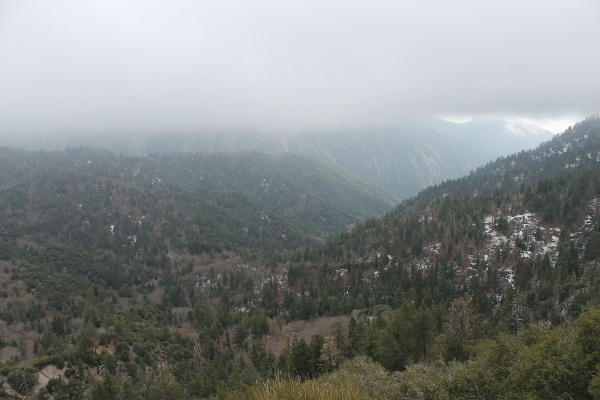 The Road To the Top