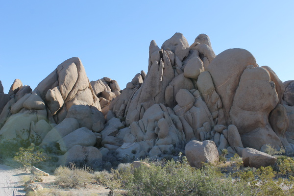 Joshua Tree National Park