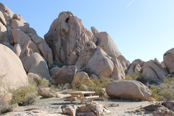 Joshua Tree National Park
