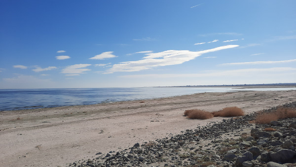 The Salton Sea