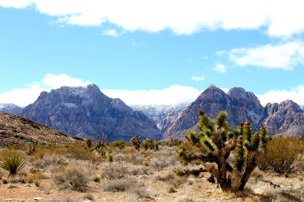 Red Rock Canyon