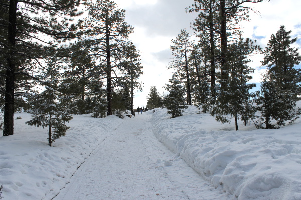 Bryce Canyon National Park