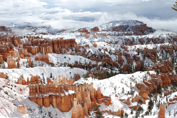 Bryce Canyon National Park