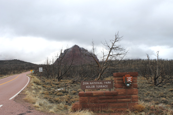 Zion National Park