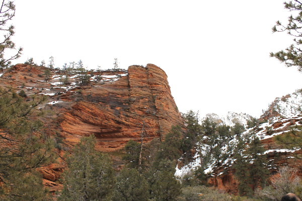 Zion National Park