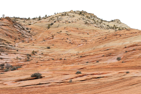 Zion National Park