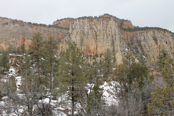 Zion National Park