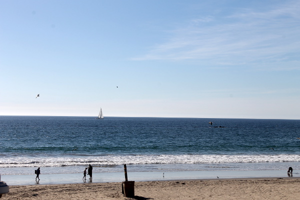 Santa Monica State Beach