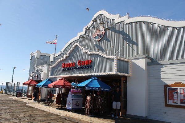 The Santa Monica Pier