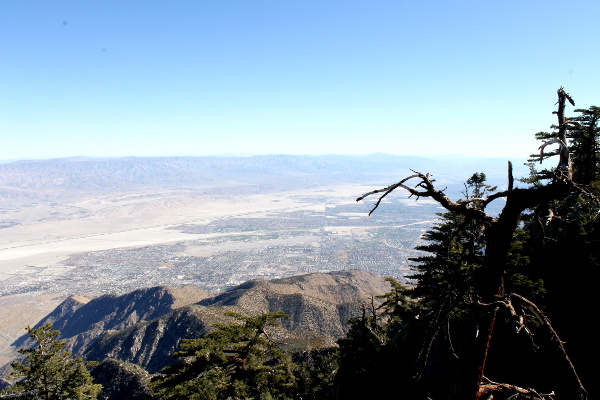 Palm Springs Aerial Tramway