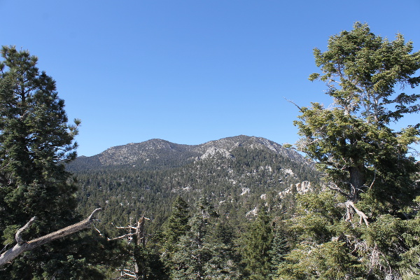 Palm Springs Aerial Tramway