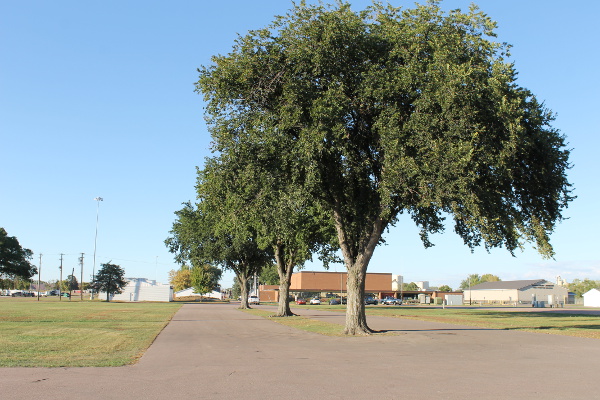 WH Lyons Fairgrounds