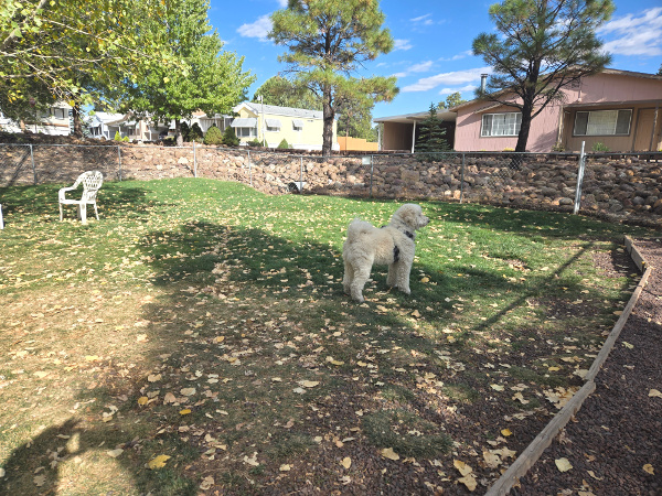 Venture In RV Resort