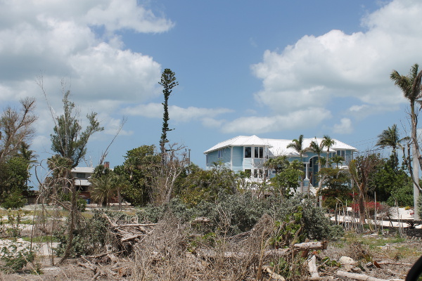 Pine Island