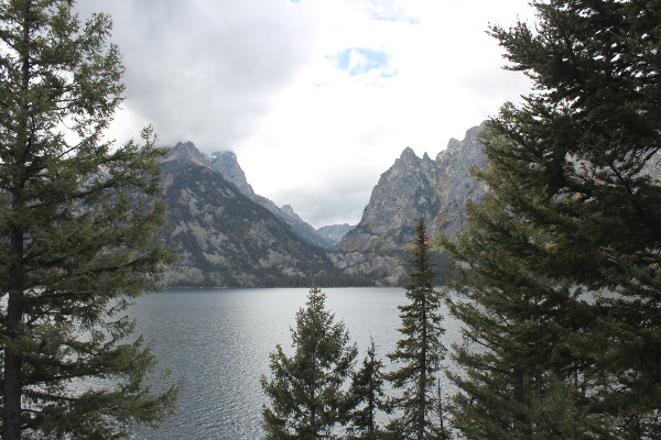 Jenny Lake