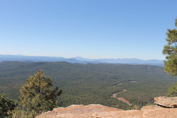 Mogollon Rim