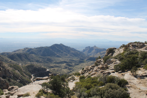 Mt. Lemmon Scenic Dr