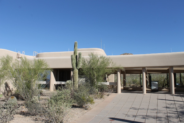 Saguaro National Park