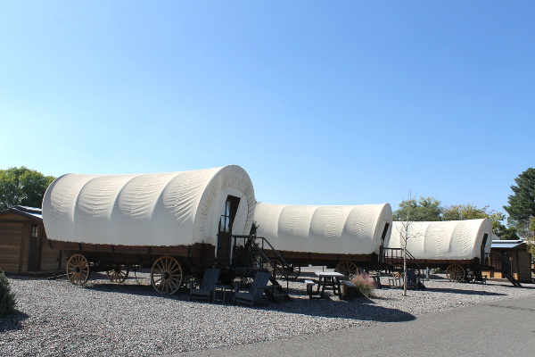 Verde Ranch RV Resort