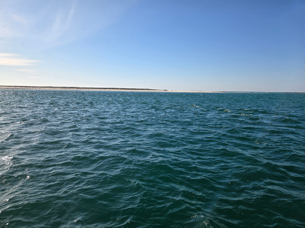 Orange Beach Alabama